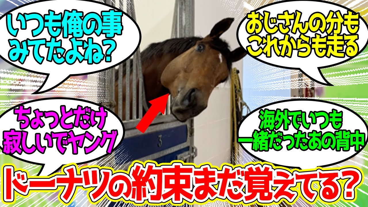 海外行くといつも一緒だった“おじさん”がいないでヤング…に対するみんなの反応！【競馬 の反応集】