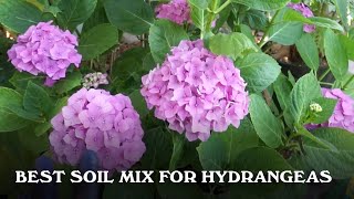 In this video, i show the 3 part soil recipe that use for my
hydrangeas. i've been using mix a while and it's produced some really
great results. ...