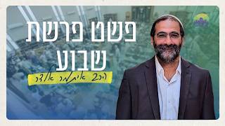 ערי מקלט - עונש או הגנה? | פרשת שופטים הגות וערכים | הרב איתמר אלדר
