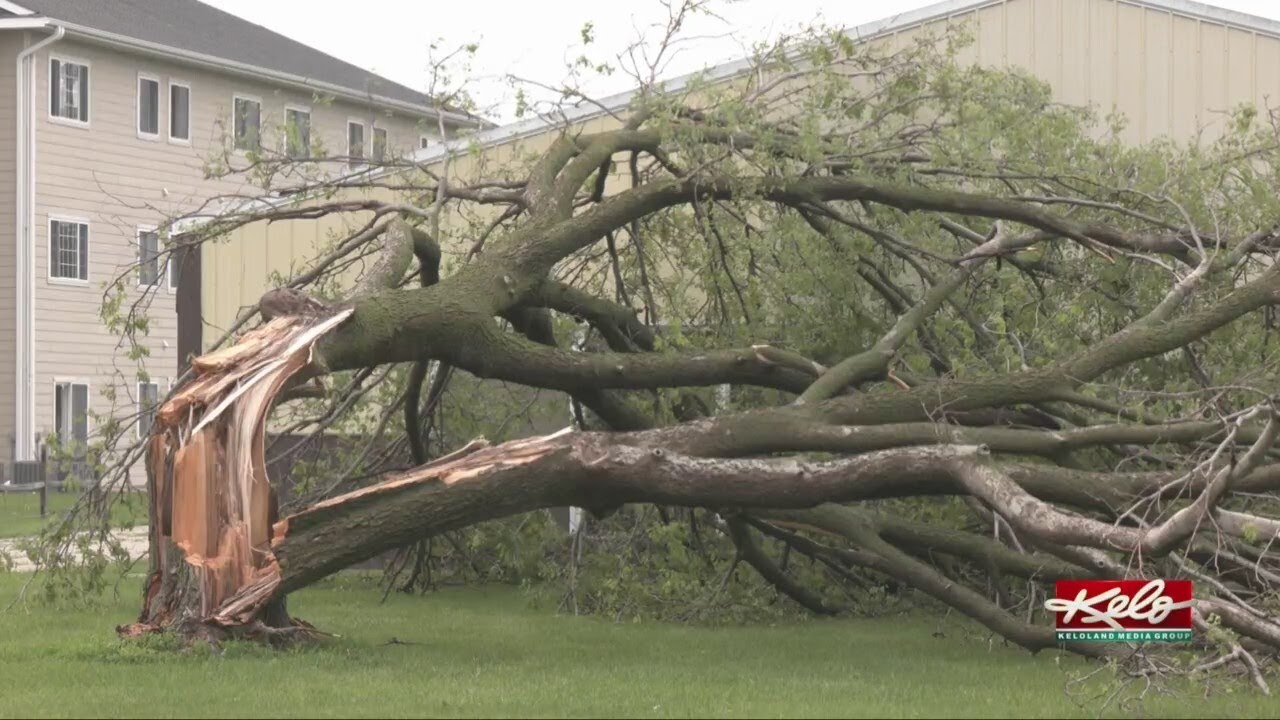 Structure damage, split trees left behind after storm - YouTube