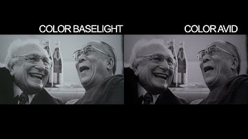 YUKOS BASELIGHT AVID