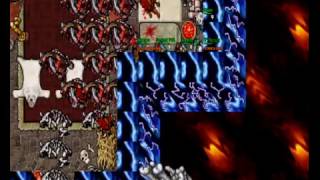 Tibia (FighterOTS) [Hardstyle Team]
