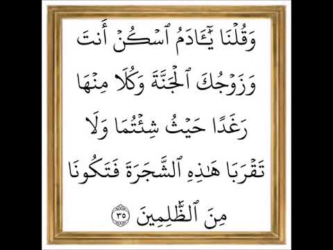 سورة البقرة من الآية 35 إلى الآية 36 بصوت القارئ خليفة الطنيجي رواية حفص عن عاصم 