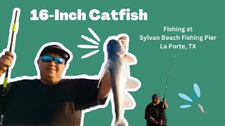 I caught a 16-inch Catfish at the Sylvan Beach Fishing Pier in LaPorte, TX 🎣 Catch and Release!