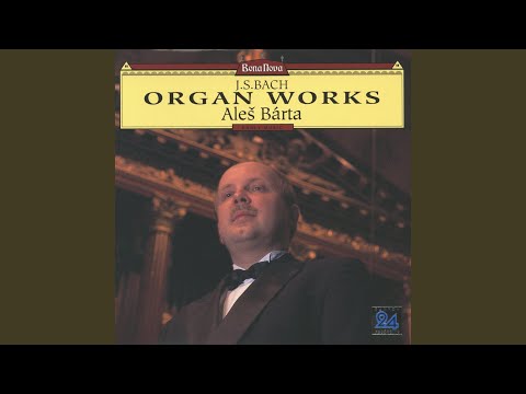 J.S.バッハ:トッカータとフーガ ホ長調 BWV566;フーガ II bekijken op YouTube