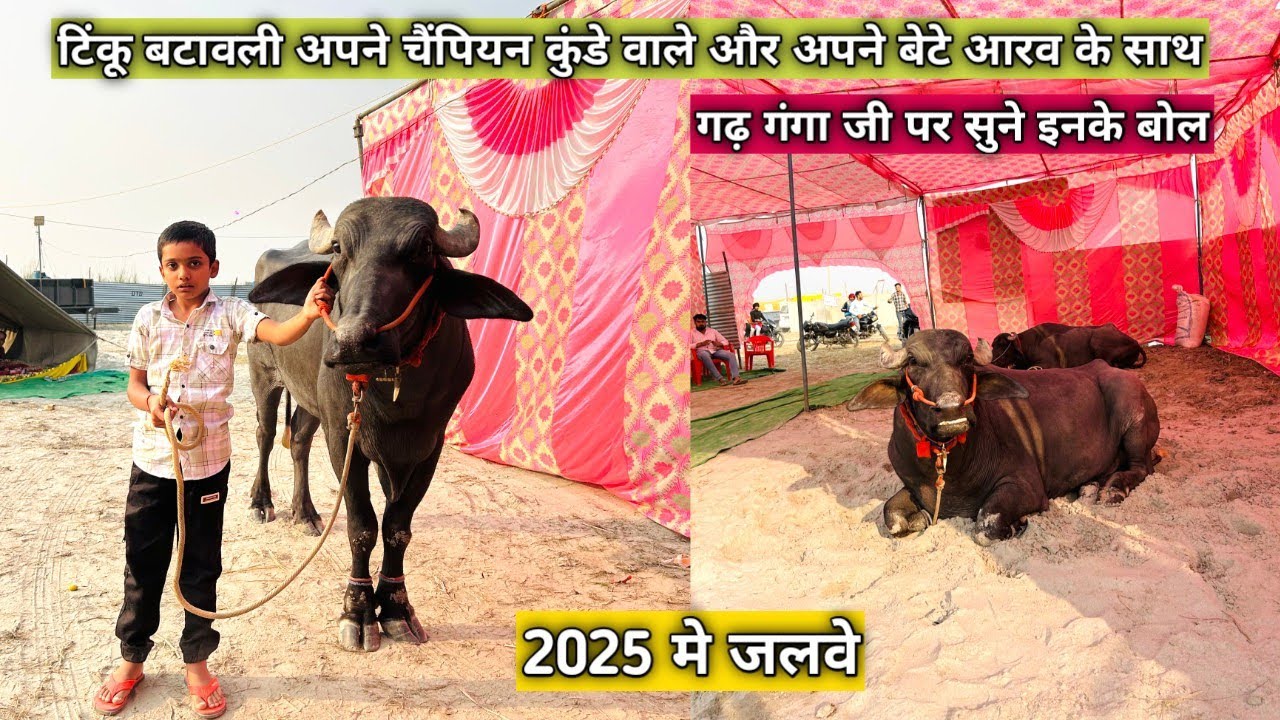 टिंकू बटावली अपने चैंपियन कुंडे वाले और अपने बेटे आरव के साथ गढ़ गंगा जी पर सुने इनके बोल 2025 मे