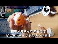 58フォージングボール（知育玩具）