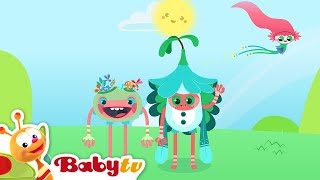 Lale Ki Lolu | BabyTV Türkçe