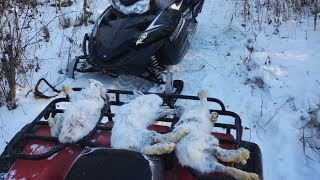 Snaring Rabbits (Catch & Cook)