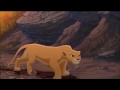 The Lion King Lioness Hunt Broadway mp3