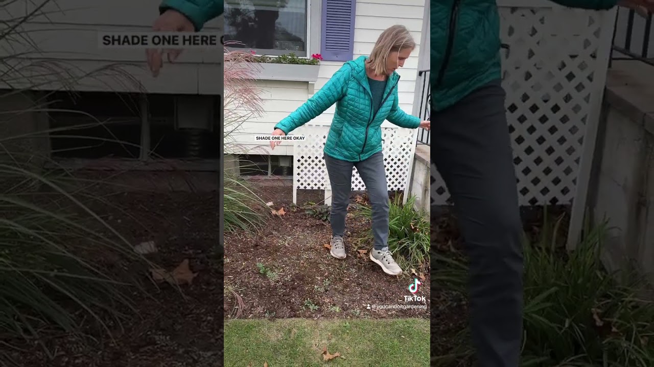 Landscape Design: Fixing Overcrowding And Creating Continuity