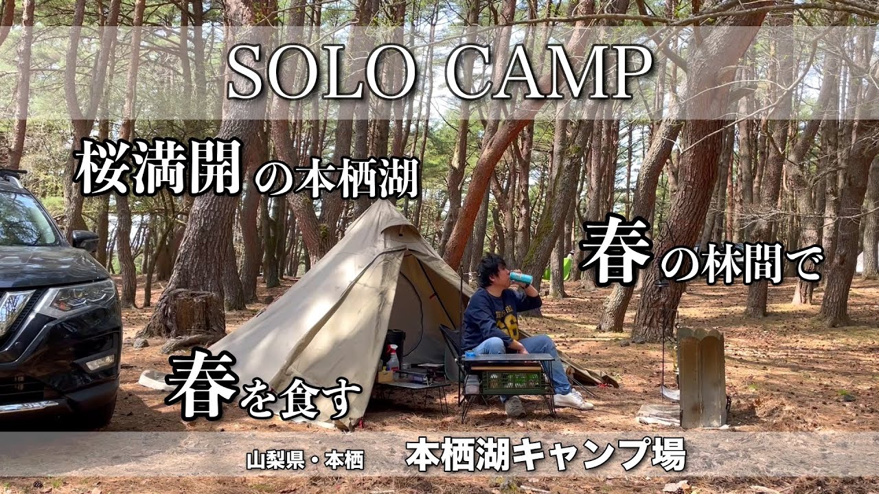 【ソロキャンプ】今シーズン初の本栖湖は桜満開！少しずつ新緑が始まった林間で甲州ワインと春食材を嗜む！（本栖湖キャンプ場）