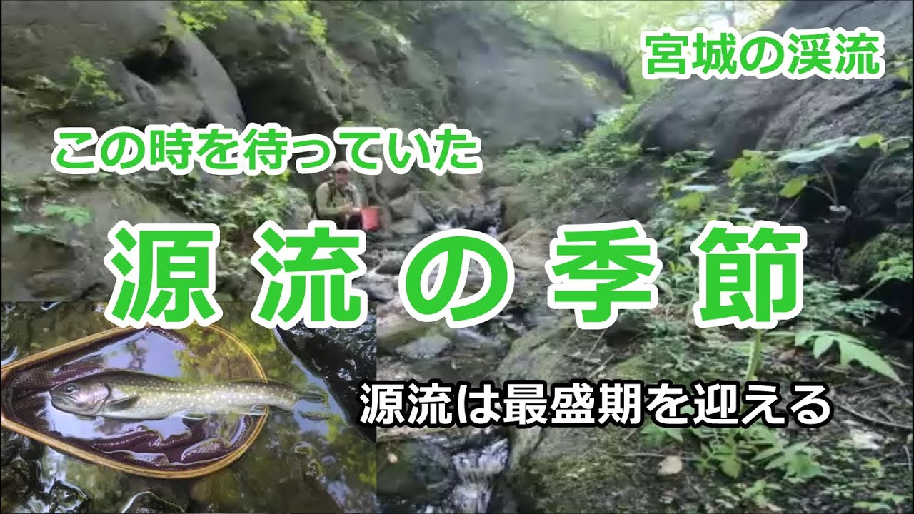 源流の季節 / 宮城の渓流 / みちのく釣りの旅 ﾌﾗｲﾌｨｯｼﾝｸﾞ渓流釣り(4K
