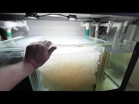 Аквариумная стойка, прошло пол года после запуска. - YouTube