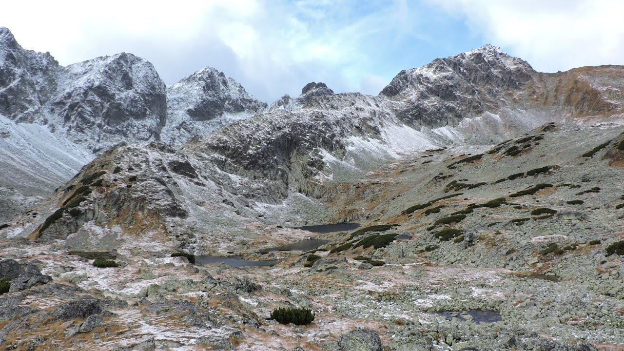 DOLINA STAROLEŚNA 2023