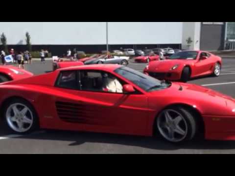 TÉLÉCHARGER CHOUCHOU SALVADOR MERCI