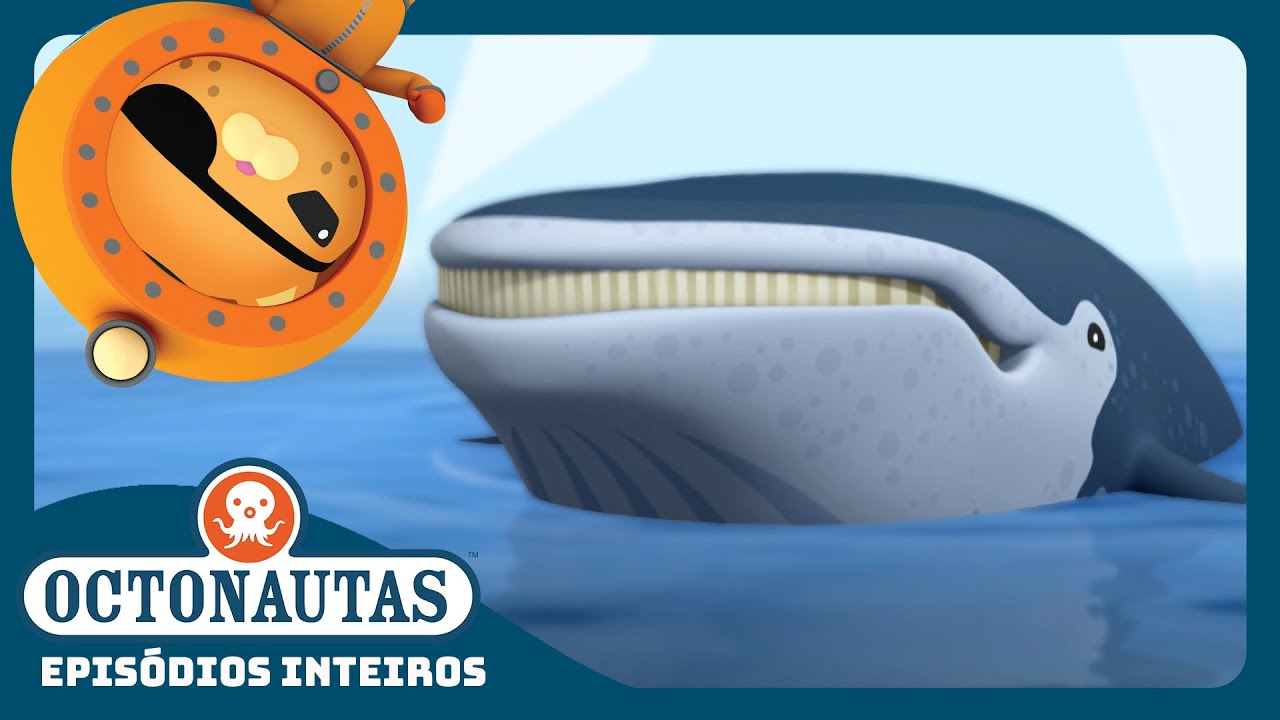 Octonautas - 🐋 As Baleias Jubarte 🐋 | Temporada 3 | Episódios inteiros