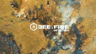 BEE2FIRE DETECTION [EN]