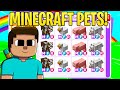 Minecraft steve does bad trades only (adopt me rich kids)