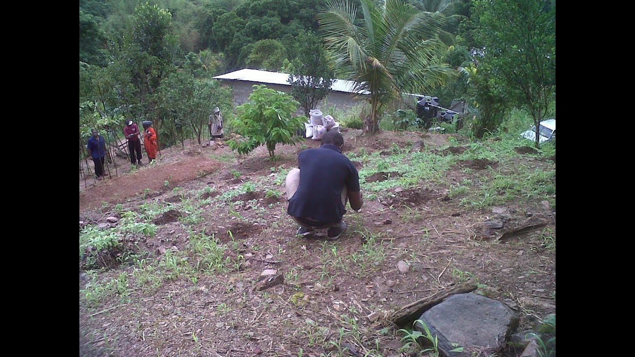 Chapter 41 EcoFriendly Farming Practices in Trinidad YouTube