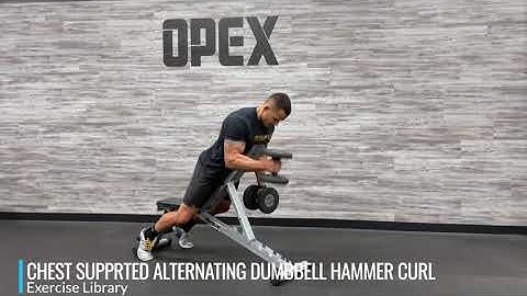 Chest Supported Alternating Dumbbell Hammer Curl