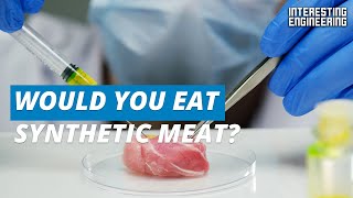 Why tomorrow’s meat might be grown in labs