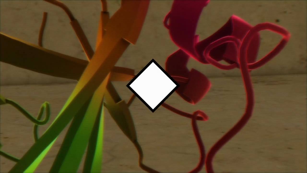 Comfort Fit - Private Primate Trailer