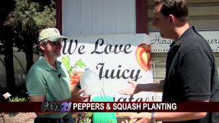 Harding Nursery (5/1): part 3