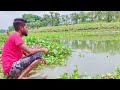 Hook fishing Video ~ village boys catching fish with hook In village River