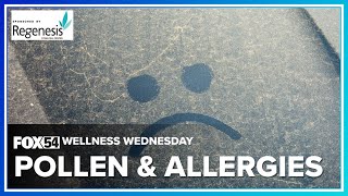 Wellness Wednesday | Pollen & Allergies