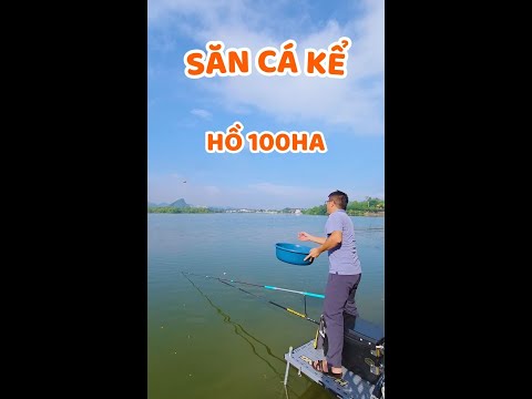 Trải nghiệm câu cá hồ bán tự nhiên ở Ninh Bình - Ngọc Biển Fishing