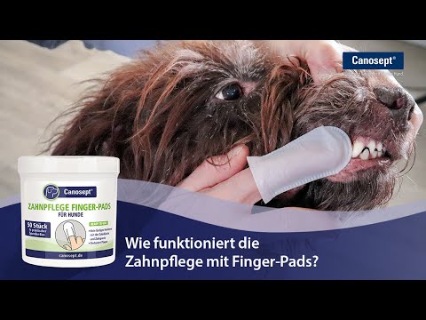 Canosept Zahnpflege Finger-Pads für Hunde: Wie beuge ich Maulgeruch vor?