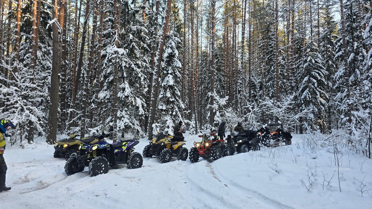 Tikra  žiema Dzūkijoje ❄️ –18°C, gilios pusnys ir keturračiai, kurie nepasiduoda.