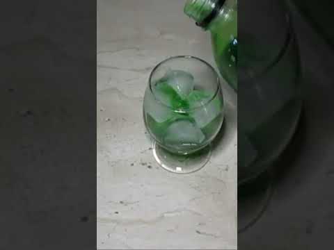 سيرب النعناع