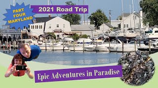 Calvert Cliffs State Park Hike In Maryland