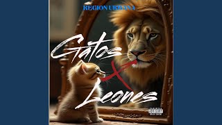Gatos & Leones (feat. El Mejol MMG)