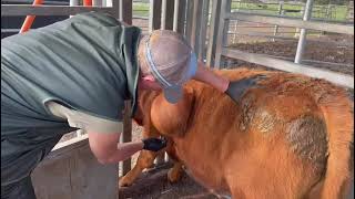 Abscesses with Friends - Dr. Will Powell