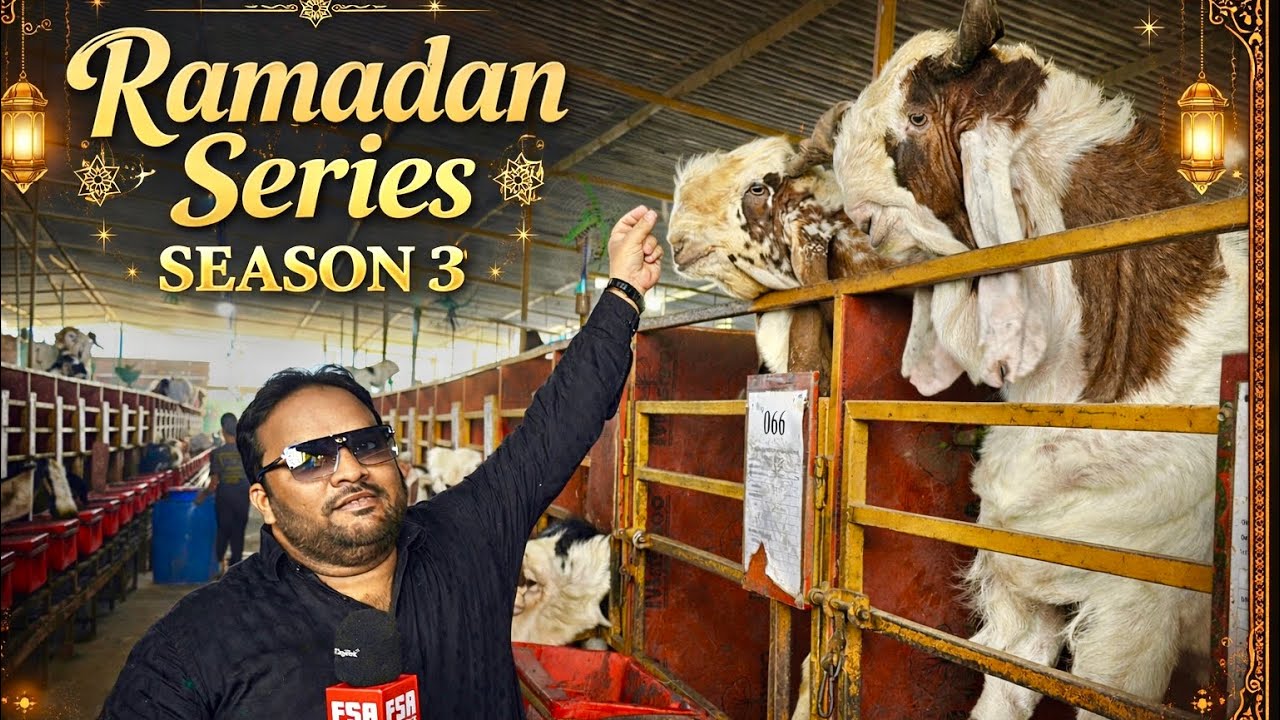Al Shaikh Goat Resort Ramadan Series - Full Farm Tour - Palai Open For 2027