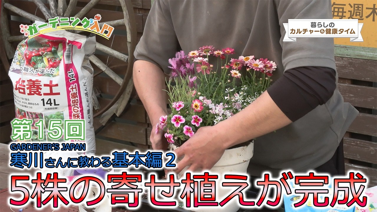 Lifestyle Culture Time: Introduction to Gardening, Part 15 - YouTube