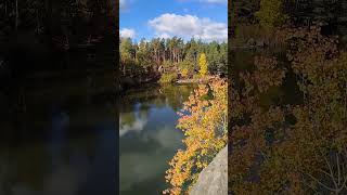 жёлтый в тренде #осень#октябрь#brave#autumn#relax#status #лучшее#shorts#осінь #best#тренд#trend#top