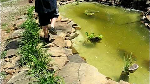 Debbie's Pond