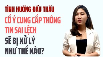 Tình Huống Đấu Thầu: Cố Ý Cung Cấp Thông Tin Sai Lệch Để Trúng Thầu Thì Xử Lý Thế Nào?