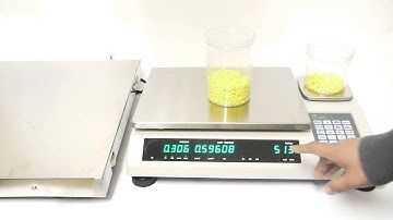 DCT Counting Scales Final
