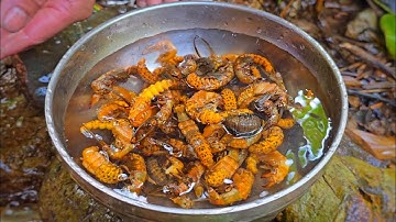 SÂU ĐÁ RANG GIÒN • Thiên Đường Cá Suối - Tập 1