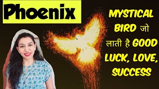 24 घंटे में ये Bird बना देगी आपको Lucky #hoodoo hoodo #phoenix screenshot 2