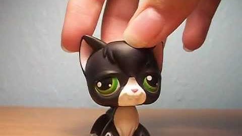 How to Make a Good LPS Video (OLD)