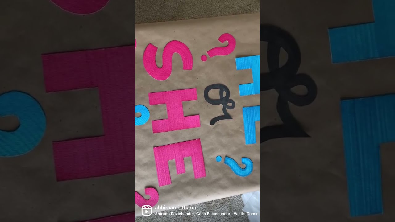 Gender Reveal Box DIY | The Pixie Dust | 