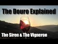 Douro Valley of Portugal | Port Wine Country Explained 🇵🇹🍷