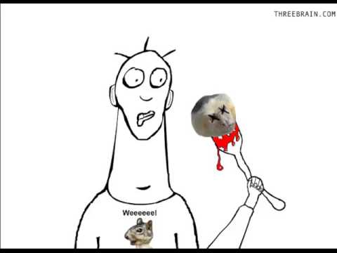 Monkey Salad Video