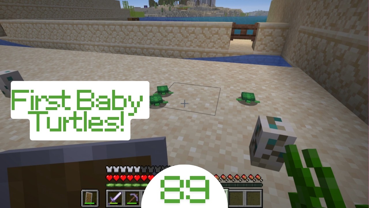 Minecraft #89 - First Baby Turtles!